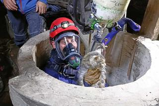 Kot wpadł do studni i nie mógł z niej wyjść. Na pomoc ruszyli strażacy