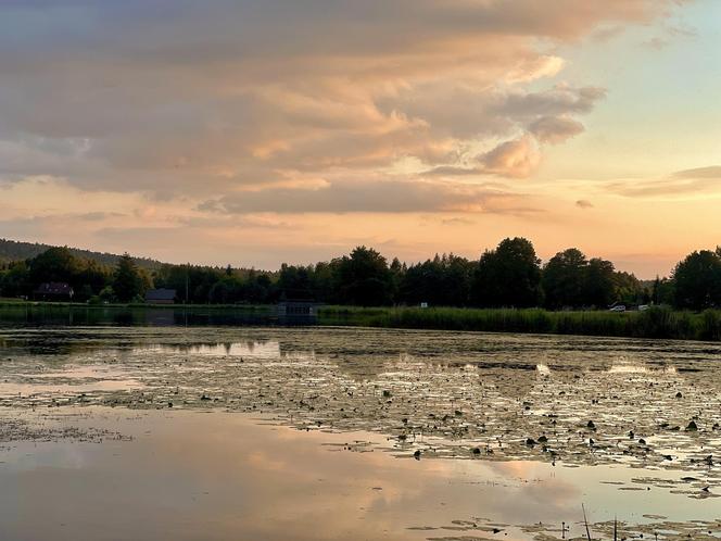 Szukacie ciszy i spokoju nad wodą? Zalew Umer to świętokrzyska oaza