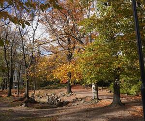 Park Wilsona