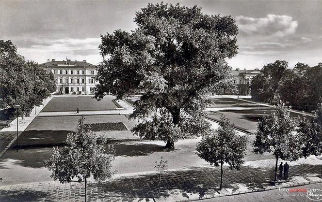 Tak kiedyś wyglądał Plac Litewski w Lublinie! Te zdjęcia są niesamowite!