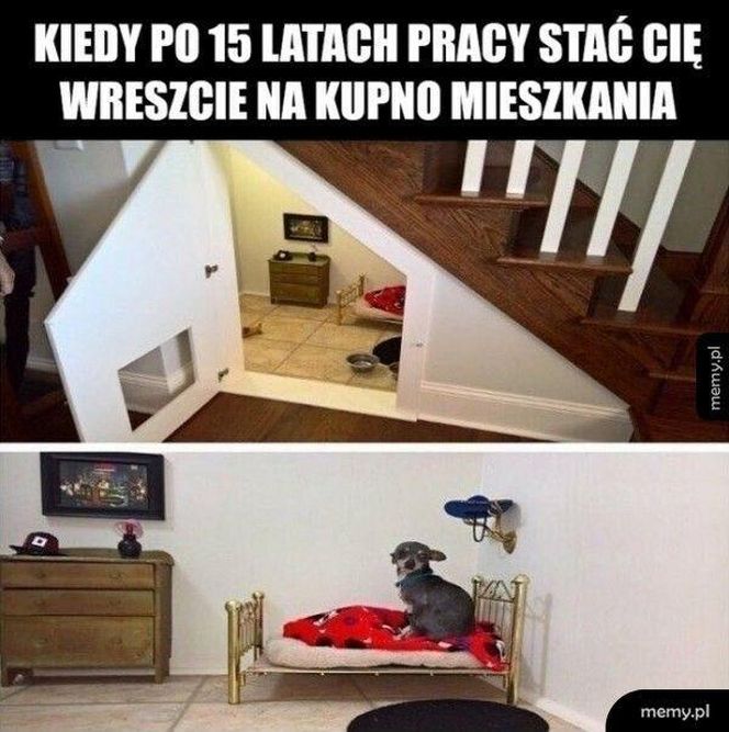 Najlepsze memy o deweloperach