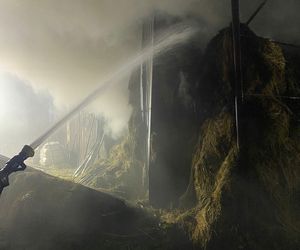 Duży pożar na terenie gospodarstwa w Zaborówcu koło Leszna