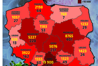 Koronawirus w woj. łódzkim. W którym powiecie jest TERAZ najwięcej zakażonych? [DANE]