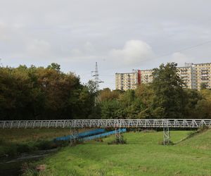 Jesienna odsłona terenów nad Bystrzycą w Lublinie. Tak się prezentuje w październiku