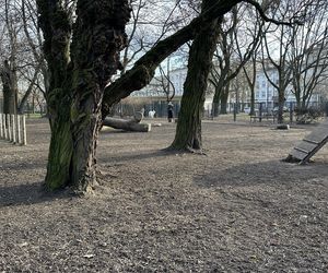 Psi park w Parku Staromiejskim w Łodzi