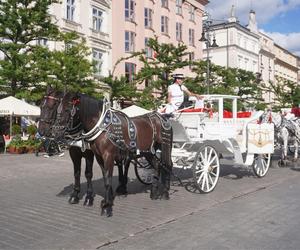 Dorożkarze chcą trafić na listę UNESCO, aktywiści reagują. U nas stanowiska obu stron