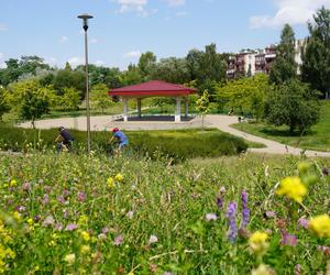 Lublin. „Filary porośnięte bluszczem” i nie tylko. Park Jana Pawła II w lipcowej odsłonie