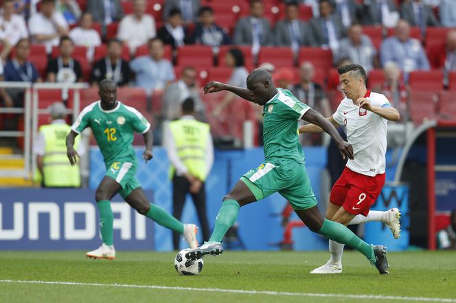 Pierwszy mecz Polaków na Mundialu w Rosji. Mecz Polska - Senegal