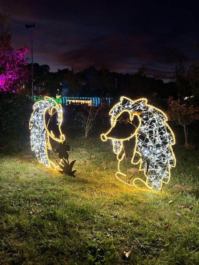 Otwarcie Lumina Parku w Poznaniu. Tegoroczne świecące miasteczko robi fenomenalne wrażenie!