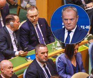 Nawrocki i Sikorski naigrywali się razem z Tuska?! Zaskakujące wieści