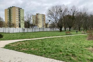 Park im. Szarych Szeregów. To tu swój początek ma Szlak pamięci ofiar hitlerowskiego ludobójstwa