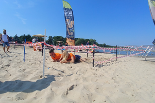 ESKA Summer City na Biegu Neptuna w Trzebieży
