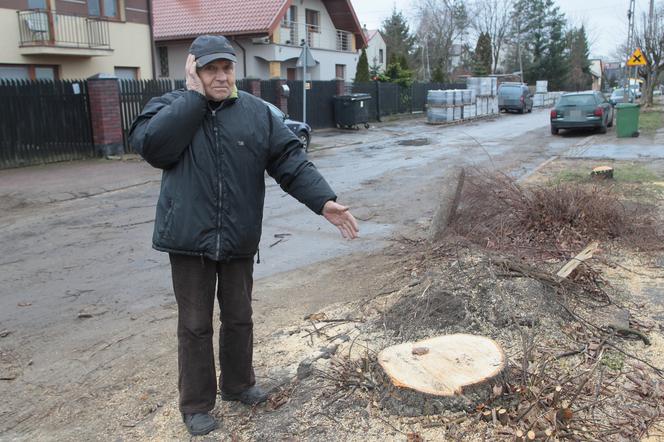  W Wołominie wycinają drzewa na potęgę! Mieszkańcy są wściekli