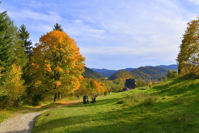 To najstarszy i najpiękniejszy park narodowy w Polsce. Warto odwiedzić go właśnie jesienią