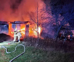 Pożar gospodarstwa na Podkarpaciu. W płomieniach zginęły zwierzęta