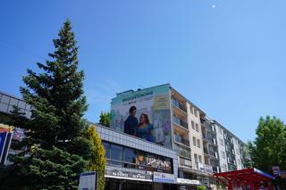 Nowy mural w Białymstoku. W roli głównej Bridgertonowie