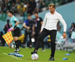 Herve Renard