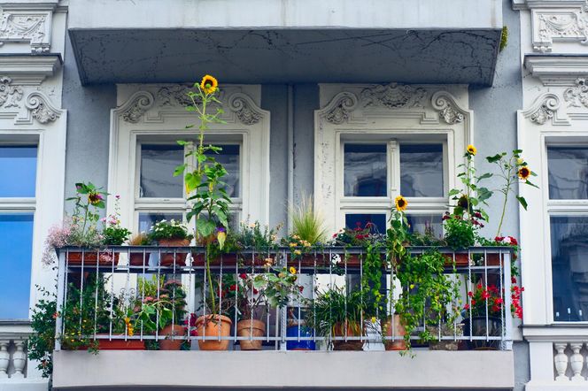Balkon w stylu rustykalnym