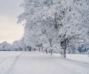 Ostrów. Zima za pasem. Drogowcy są przygotowani?