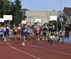 KS STAL -  królowa sportu ma się świetnie