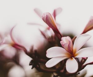 Życzenia imieninowe dla Danuty. Obdaruj ją wyjątkowymi słowami