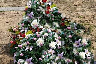 Ratował boćka na słupie, spadł z drabiny