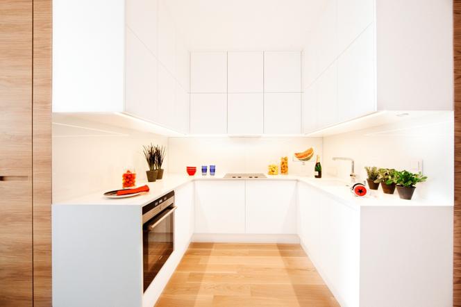 Skandynawski loft Woronicza Qbik