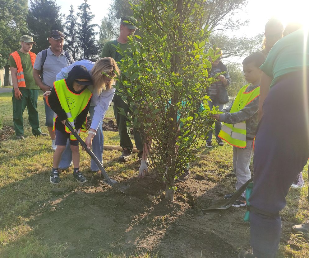 Zielony Zakątek. Kolejny eco-projekt na elbląskim Zawodziu 