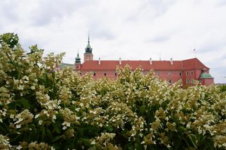 Ukryty ogród w Warszawie