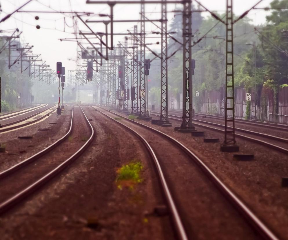Katastrofa kolejowa w Długołęce