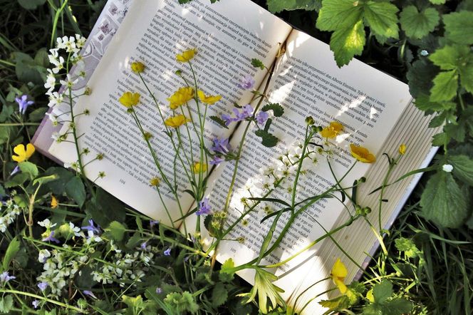 QUIZ: Jaki to związek frazeologiczny? Zgadnij na podstawie opisu