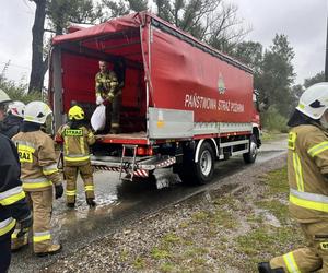 Przekroczone stany alarmowe na kilku rzekach, strażacy układają worki z piaskiem. Relacja live