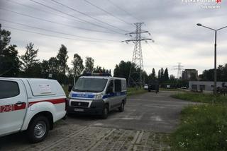 Sosnowiec. Tragiczny finał poszukiwań pani Leokadii. Znaleziono szczątki [ZDJĘCIA]