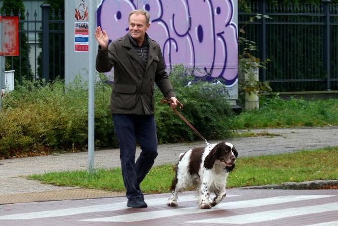 Donald Tusk na spacerze z Portosem