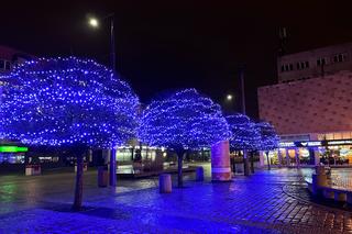 Świąteczny blask w Gorzowie Wielkopolskim