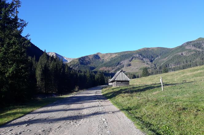 Turyści w Tatrach