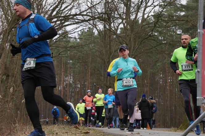 Rekordowy bieg City Trail w bydgoskim Myślęcinku [ZDJĘCIA]