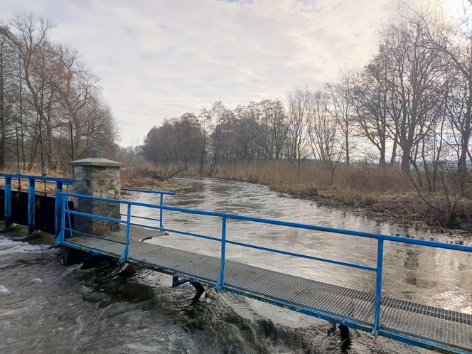 Zalane posesje i drogi pod Wrocławiem. Woda wciąż nie opada, alarmy powodziowe