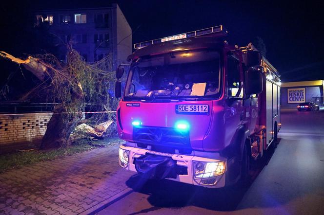 Ulewne deszcze na Podkarpaciu. Połamane drzewa na ulicach Dębicy