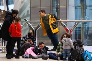 Migranci wracają do Bagdadu. Jutro kolejny samolot