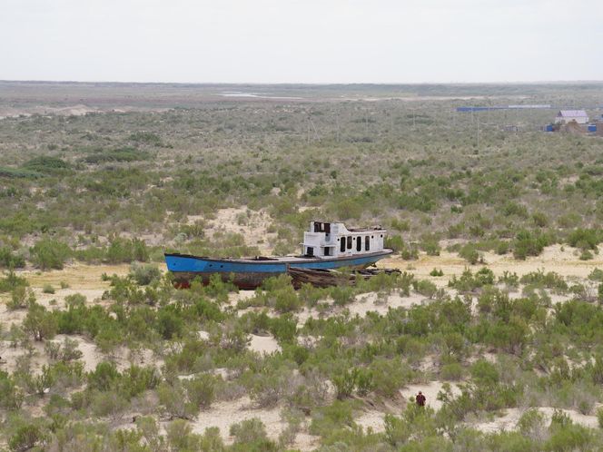 To największa katastrofa ekologiczna w dziejach. "Każdy podmuch wiatru jest potencjalnym atakiem chemicznym"