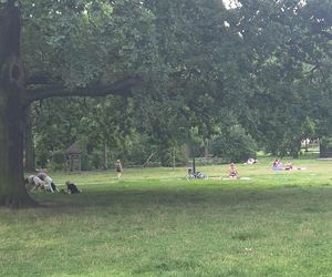 Spacer przez muzyczne serce Bydgoszczy. Park Kochanowskiego zachwyca historią i klimatem