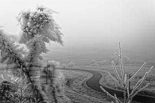 Wichury do 75 km/h, śnieżyce i jeszcze to! Alarm meteo na poniedziałek [Prognoza pogody 31.01.2022]