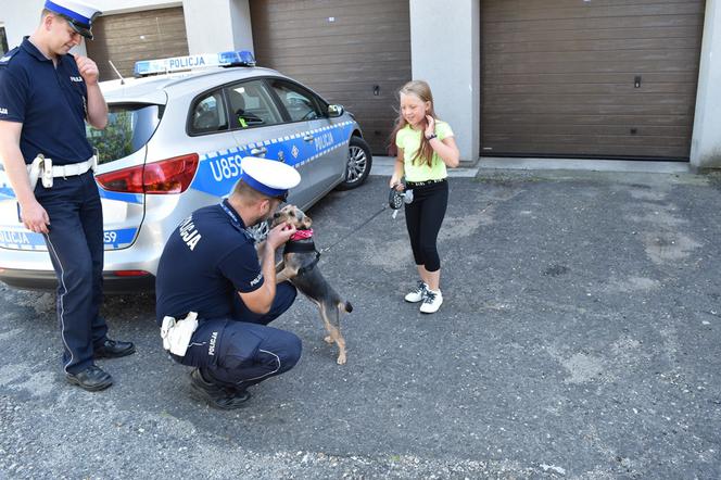 Wąchała drogę i biegała za samochodami. Groziła jej ŚMIERĆ. Teraz ma szczęśliwą rodzinę