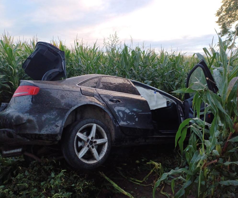 ​Samochód koziołkował w polu kukurydzy, kierowca nie żyje