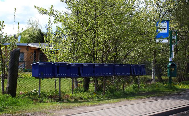 Wyspa Pucka w Szczecinie