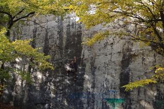 Mur skalny Esteci w dawnym kamieniołomie pod św. Benedyktem na Krzemionkach Podgórskich w Krakowie