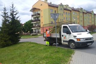 Starachowiczanka w akcji