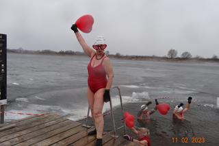 Z miłości do morsowania. Chełmskie morsy wskoczyły do lodowatej wody [GALERIA]