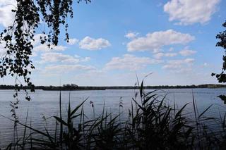 Z Wrocławia na weekend. Stawy Milickie: odwiedź perłę Doliny Baryczy !